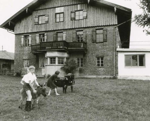Kinder mit Eselfohlen am Berghof - alte Aufnahme