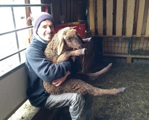 Michi Mayerl mit Bergschaf